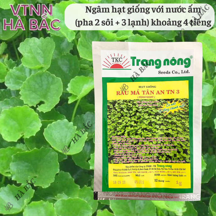 Rau Má Tân An TRANG NÔNG TN3 (1gram), Hạt Giống Nảy Mầm Tốt, Năng Suất Cao, Trông Quanh Năm - Hạt Giống Hà Bắc