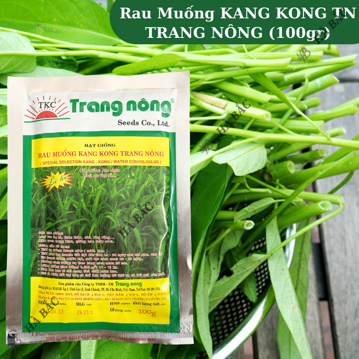 Rau Muống KANG KONG TN TRANG NÔNG (100gr), Hạt Giống Nảy Mầm Tốt, Năng Suất Cao, Trông Quanh Năm - Hạt Giống Hà Bắc