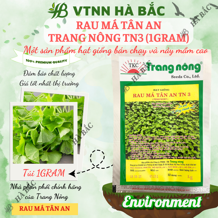 Rau Má Tân An TRANG NÔNG TN3 (1gram), Hạt Giống Nảy Mầm Tốt, Năng Suất Cao, Trông Quanh Năm - Hạt Giống Hà Bắc