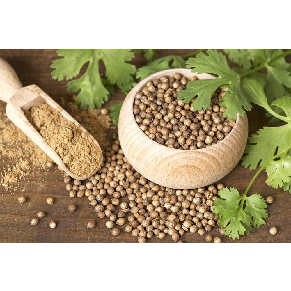 Hạt Mùi Khô Sạch (Hạt Ngò) 100g - Gia Vị Nấu Phở, Lẩu, Các Món Nướng Thơm Lừng, Thảo Mộc Tắm Bé, Xông Hơi Thư Giãn Luka