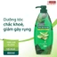 Dầu Gội Palmolive CHÍNH HÃNG -Dầu Gội Đầu 2in1 Gội Xả Dưỡng Tóc Chiết Xuất Thiên Nhiên Sữa Dừa Olive Japari