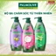 Dầu Gội Palmolive CHÍNH HÃNG -Dầu Gội Đầu 2in1 Gội Xả Dưỡng Tóc Chiết Xuất Thiên Nhiên Sữa Dừa Olive Japari
