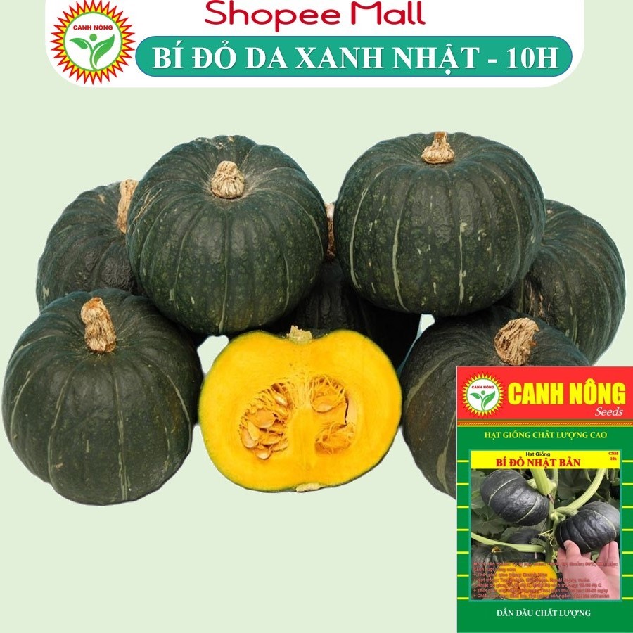 Hạt giống Bí Đỏ Nhật Bản lai F1 dễ trồng, ngọt, thơm, Hạt giống rau củ quả trồng chậu - Hạt giống CANH NÔNG