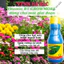 Phân bón lá đậm đặc cao cấp VITAMIN B1 Growmore (100ml, 235ml) - B1 Cho Cây Kiểng, Hoa Kiểng, B1 Kích Ra Bông