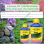 Phân bón lá đậm đặc cao cấp VITAMIN B1 Growmore (100ml, 235ml) - B1 Cho Cây Kiểng, Hoa Kiểng, B1 Kích Ra Bông