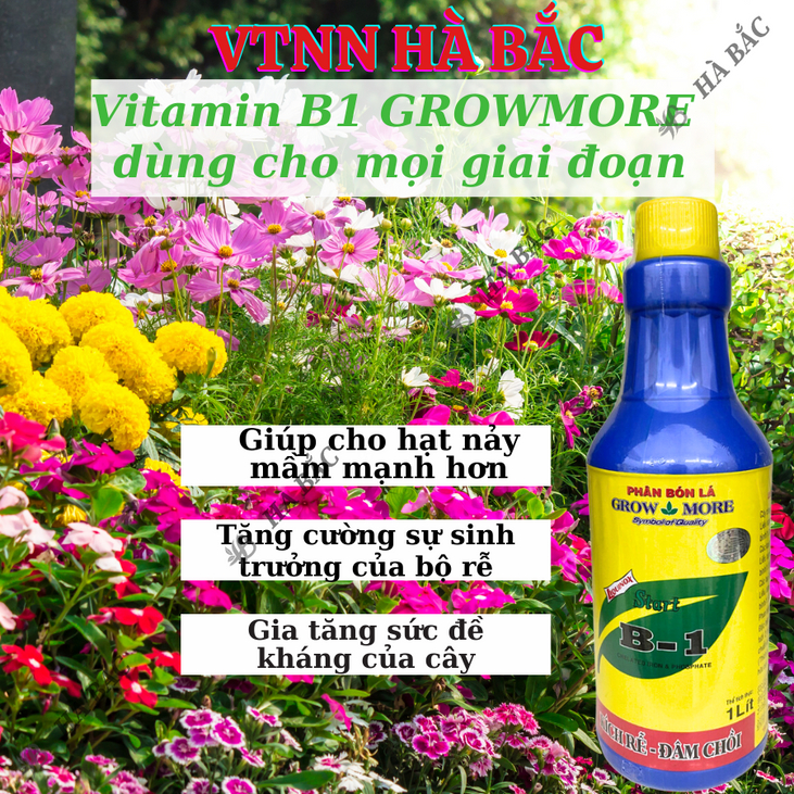 Phân bón lá đậm đặc cao cấp VITAMIN B1 Growmore (500ml, 1Lít) -  B1 Cho Cây Kiểng, Hoa Kiểng, B1 Kích Ra Bông