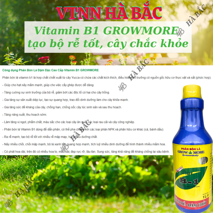 Phân bón lá đậm đặc cao cấp VITAMIN B1 Growmore (500ml, 1Lít) -  B1 Cho Cây Kiểng, Hoa Kiểng, B1 Kích Ra Bông