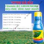 Phân bón lá đậm đặc cao cấp VITAMIN B1 Growmore (100ml, 235ml) - B1 Cho Cây Kiểng, Hoa Kiểng, B1 Kích Ra Bông