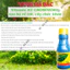 Phân bón lá đậm đặc cao cấp VITAMIN B1 Growmore (100ml, 235ml) - B1 Cho Cây Kiểng, Hoa Kiểng, B1 Kích Ra Bông