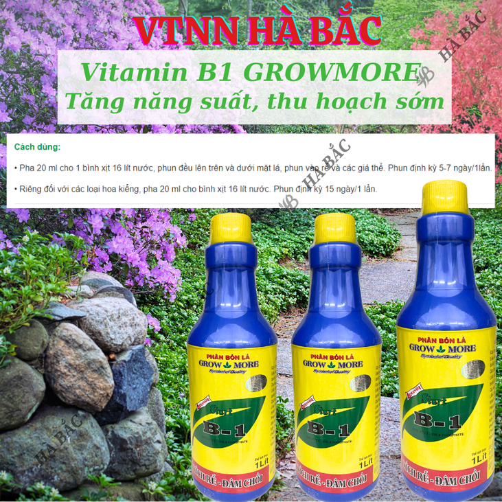 Phân bón lá đậm đặc cao cấp VITAMIN B1 Growmore (500ml, 1Lít) -  B1 Cho Cây Kiểng, Hoa Kiểng, B1 Kích Ra Bông