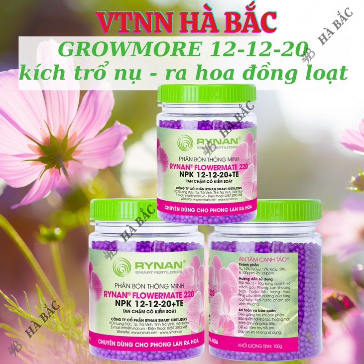 Phân bón Rynan (hũ 150gram), tốt cho mọi giai đoạn cây trồng, đủ các chỉ số 12-12-20; 23-08-08; 31-08-08; 22-10-10