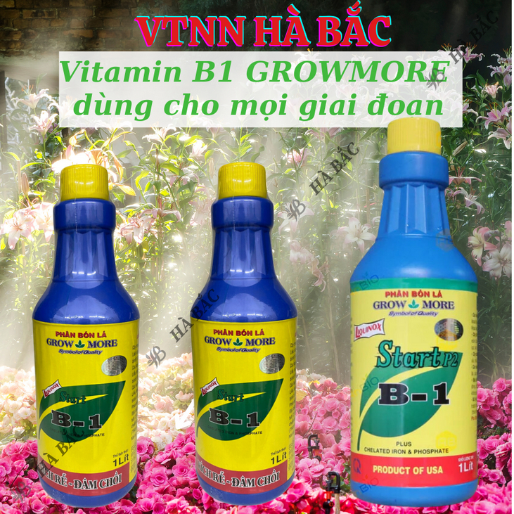 Phân bón lá đậm đặc cao cấp VITAMIN B1 Growmore (500ml, 1Lít) -  B1 Cho Cây Kiểng, Hoa Kiểng, B1 Kích Ra Bông