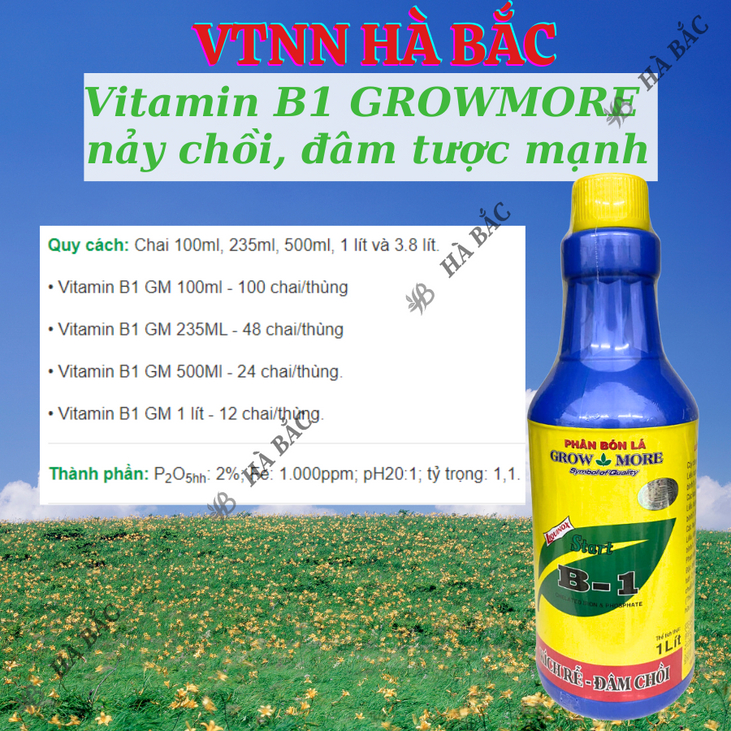Phân bón lá đậm đặc cao cấp VITAMIN B1 Growmore (500ml, 1Lít) -  B1 Cho Cây Kiểng, Hoa Kiểng, B1 Kích Ra Bông