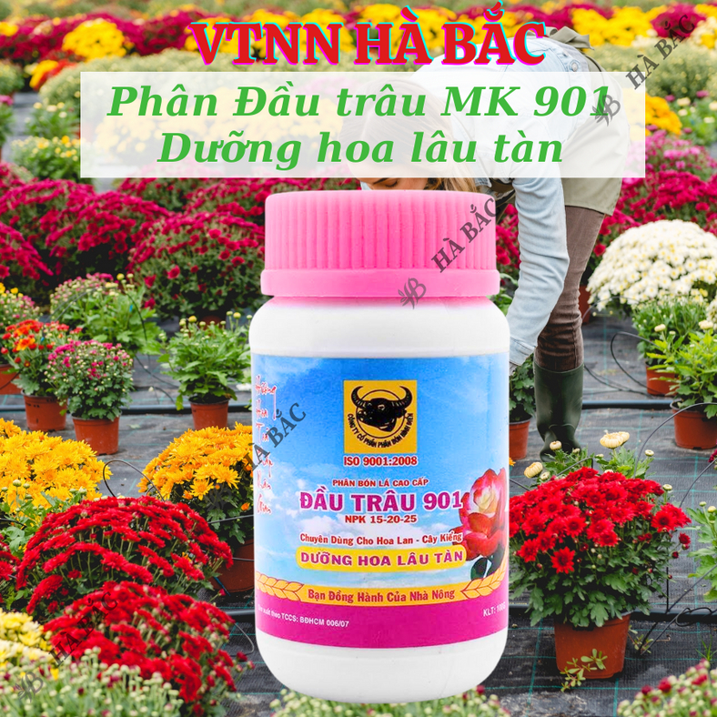 Phân bón lá Đầu Trâu 501 - 701 - 901 (hũ 100gram), dùng được cho mọi giai đoạn của cây trồng -  Hàng giá tốt nhất