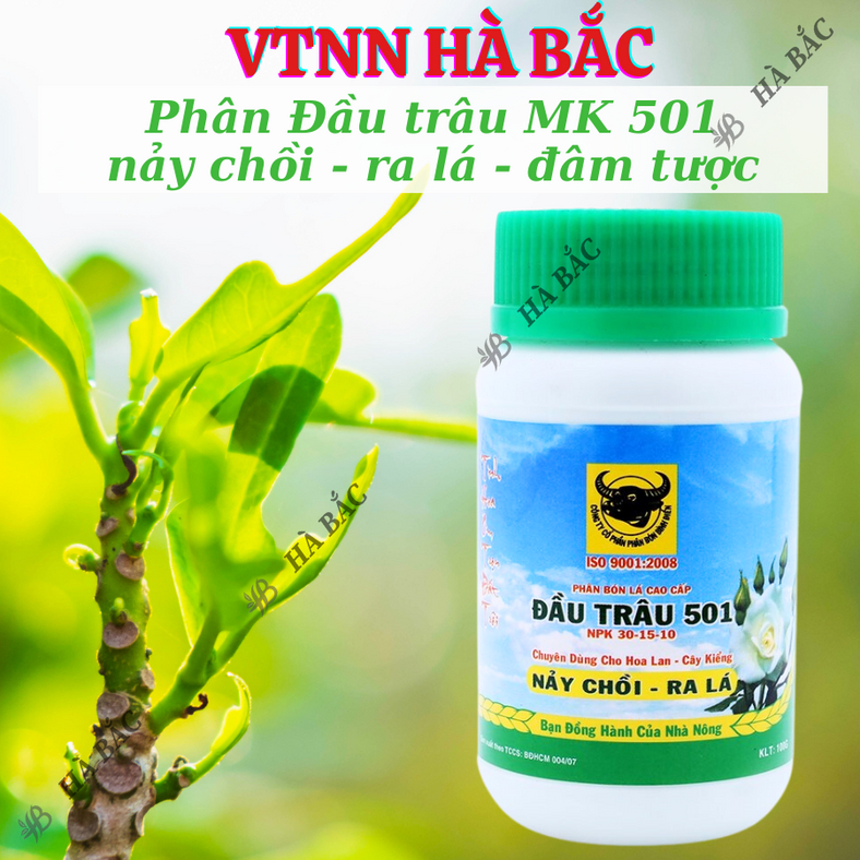 Phân bón lá Đầu Trâu 501 - 701 - 901 (hũ 100gram), dùng được cho mọi giai đoạn của cây trồng -  Hàng giá tốt nhất