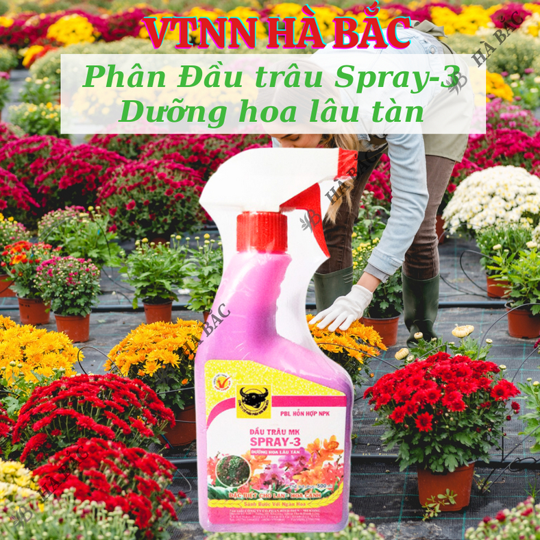 Phân bón lá Đầu trâu dạng phun Spray 1, Spray 2, Spray 3 (Bình 500ml), dùng được cho mọi giai đoạn của cây, hoa kiểng