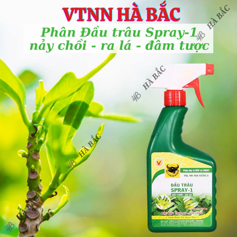 Phân bón lá Đầu trâu dạng phun Spray 1, Spray 2, Spray 3 (Bình 500ml), dùng được cho mọi giai đoạn của cây, hoa kiểng