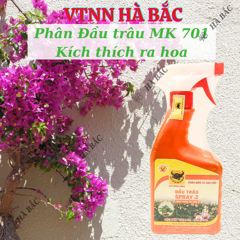 Phân bón lá Đầu trâu dạng phun Spray 1, Spray 2, Spray 3 (Bình 500ml), dùng được cho mọi giai đoạn của cây, hoa kiểng