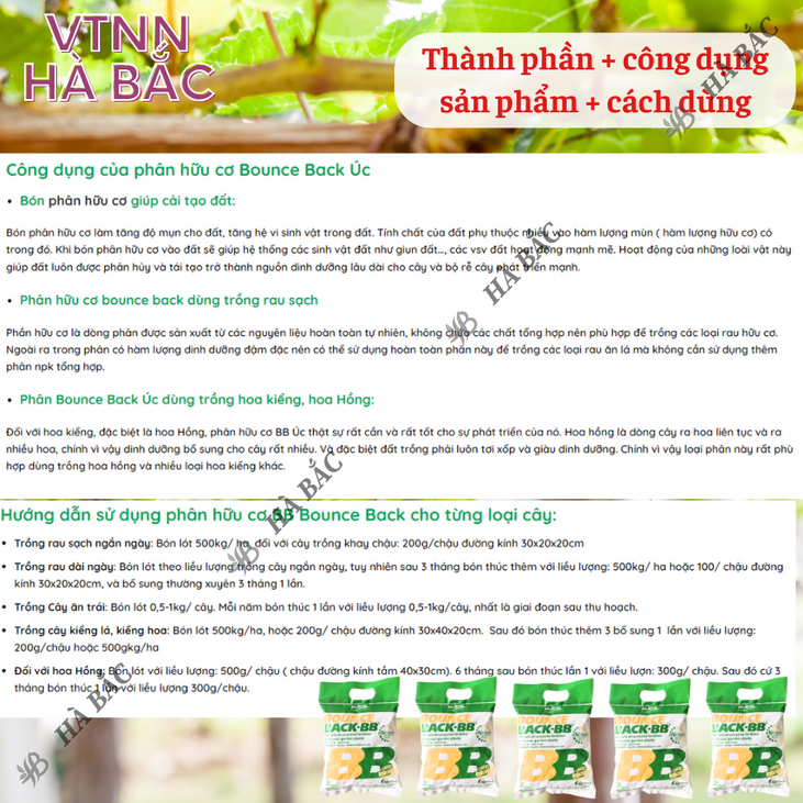 Phân Hữu Cơ viên nén đậm đặc Bounce Back- BB Úc (500gr/1kg), dùng cho cây kiểng, hoa lan, bonsai và các loại cây trồng