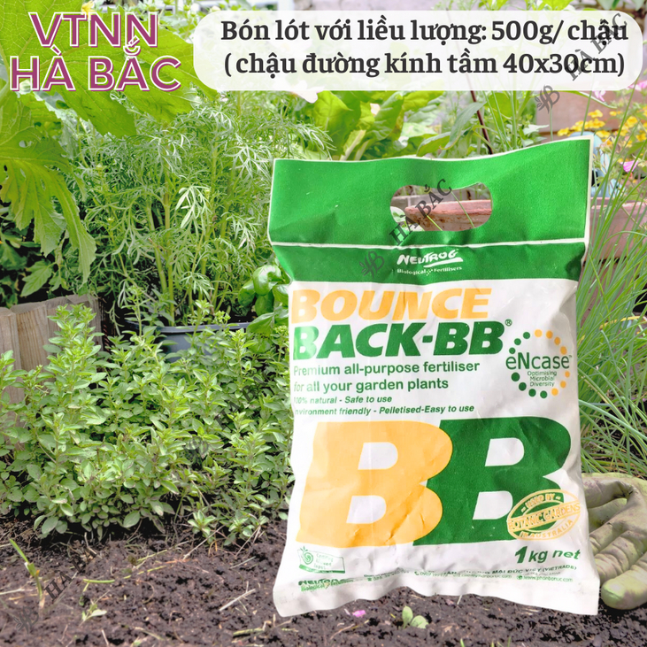 Phân Hữu Cơ viên nén đậm đặc Bounce Back- BB Úc (500gr/1kg), dùng cho cây kiểng, hoa lan, bonsai và các loại cây trồng