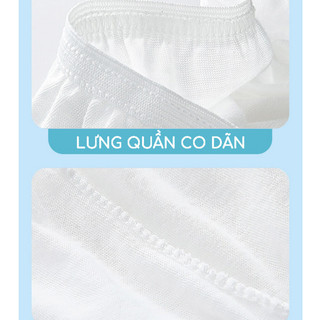 Quần lót dùng 1 lần chất liệu Cotton cao cấp đáy quần kháng khuẩn hộp 5 quần đủ size