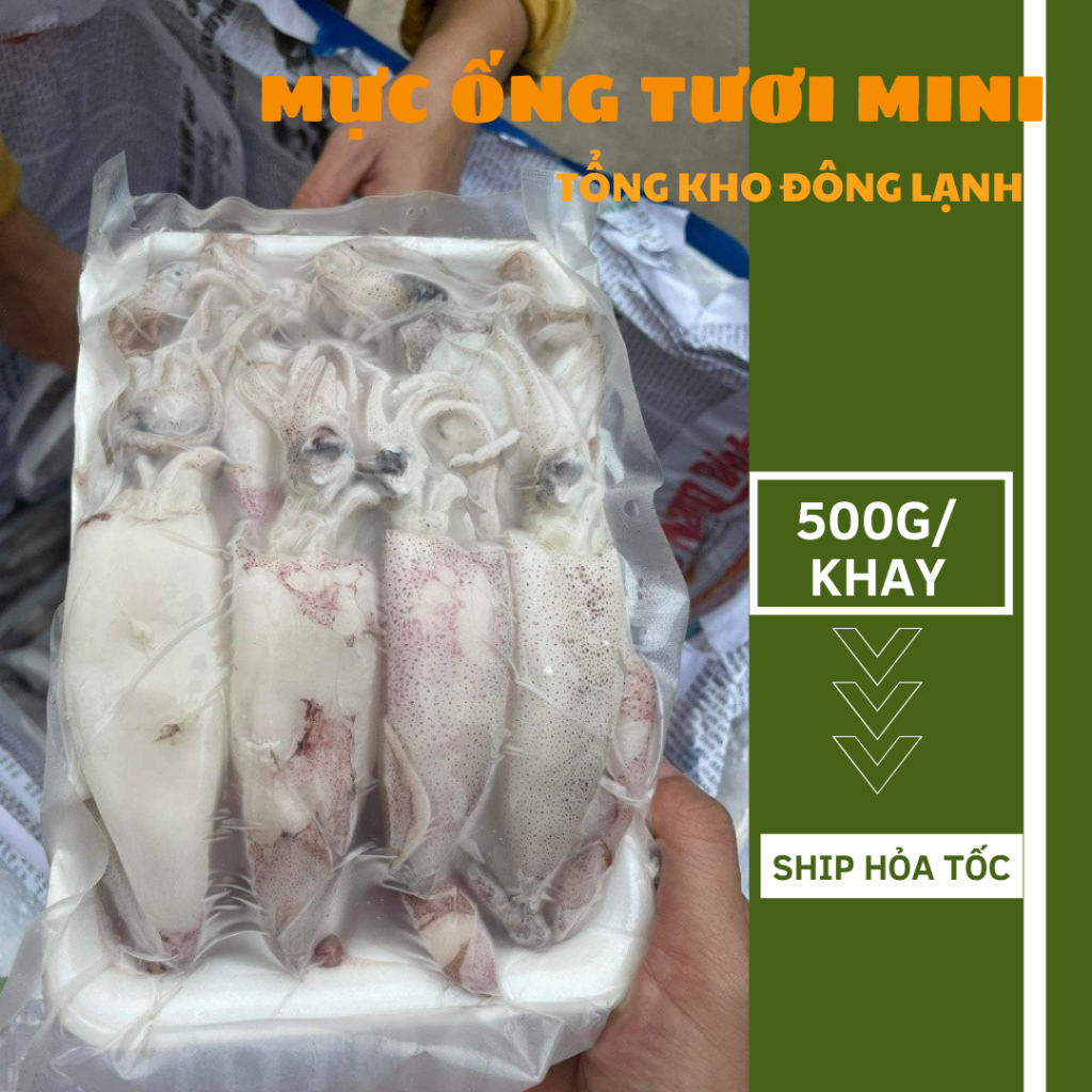 Mực ông tươi mini khay 500g ( giao hỏa tốc Hà Nội ) | Shopee Việt Nam