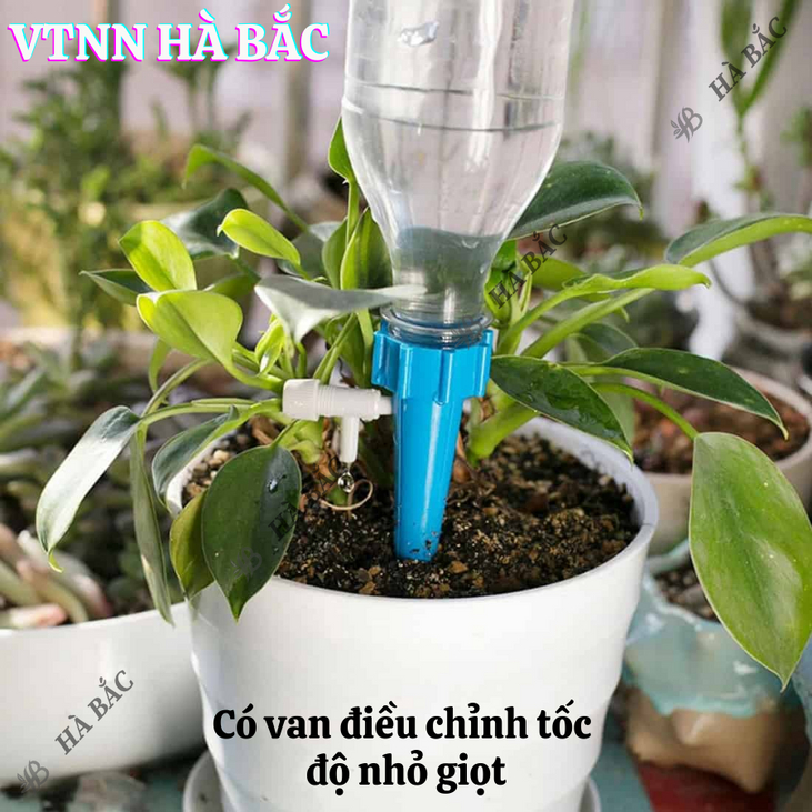 Đầu cắm nhỏ giọt tưới cây, gắn chai cực tiện lợi, van tưới tự động cho cây cảnh trong nhà