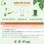 Bột Lá Sen Quảng Thanh, Sấy Lạnh Nguyên Chất Túi 100g