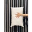 Combo 2 Chiếc Ruột gối bông PE gòn 45x65cm Cao cấp
