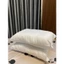 Combo 2 Chiếc Ruột gối bông PE gòn 45x65cm Cao cấp