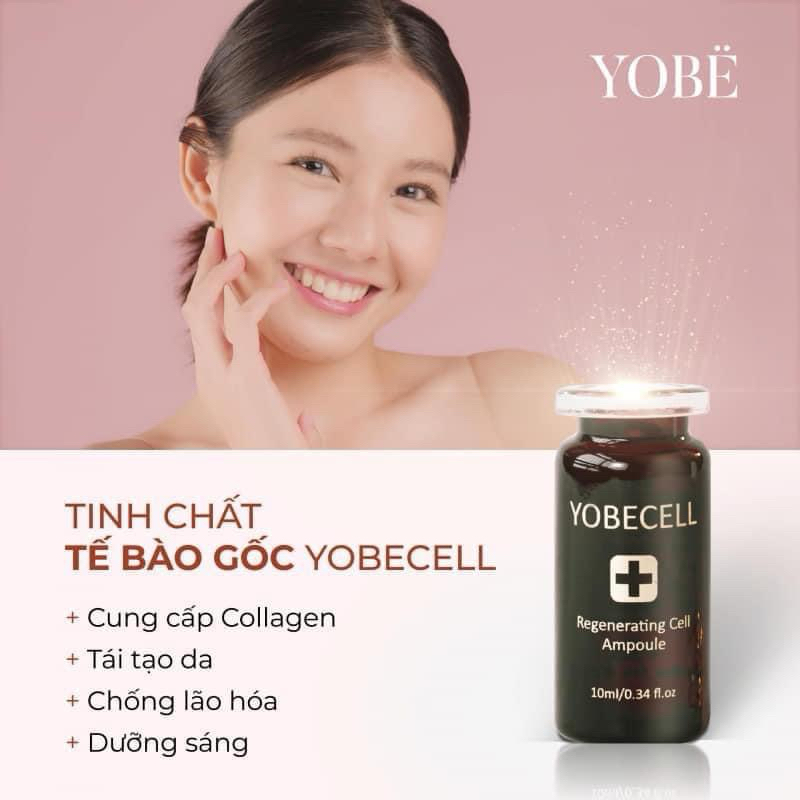 Set Tinh Chất Tế Bào Gốc Yobe (5 Chai) - Dưỡng Sáng Da, Chống Lão Hoá