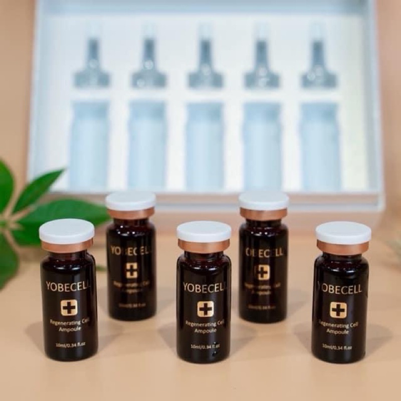 Set Tinh Chất Tế Bào Gốc Yobe (5 Chai) - Dưỡng Sáng Da, Chống Lão Hoá