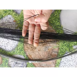 cung bẫy chim cút