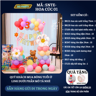 Set trang trí sinh nhật bé trai gái hình con vật DC PARTY