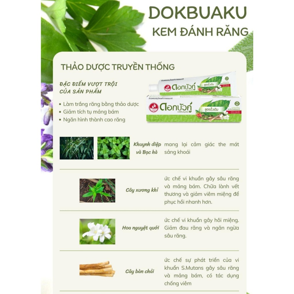Kem Đánh Răng Thảo Dược Dokbuaku Thái Lan Hương Truyền Thống & Hương Bạc Hà Mát Lạnh 25g,150g