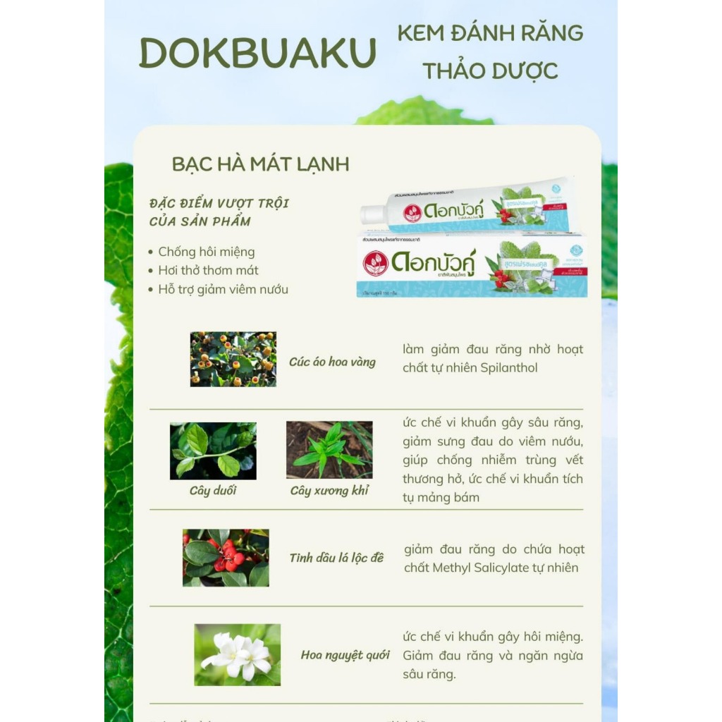 KEM ĐÁNH RĂNG THẢO DƯỢC THƠM MÁT TRẮNG SÁNG RĂNG HƯƠNG BẠC HÀ COOL & FRESH, HƯƠNG TRUYỀN THỐNG DOKBUAKU