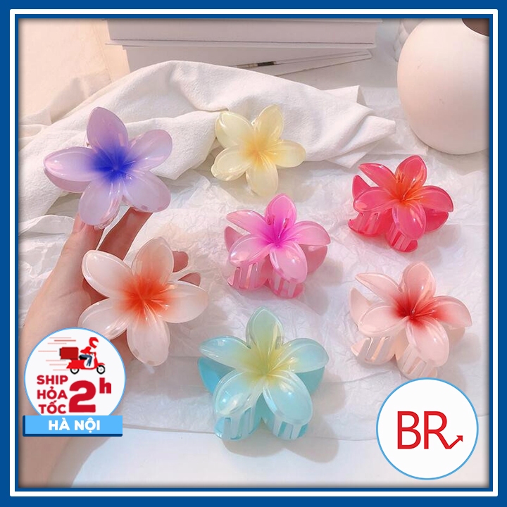 [CÓ SẴN] Kẹp tóc hình hoa Bauhinia lớn hottrend - Kẹp hoa sứ bó hoa phụ kiện tóc nữ đi biển 02163
