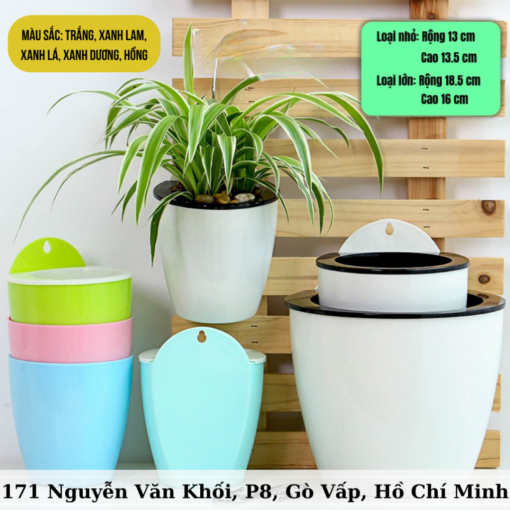 Chậu tự dưỡng áp tường, chậu tự tưới trồng cây 2 lớp 1