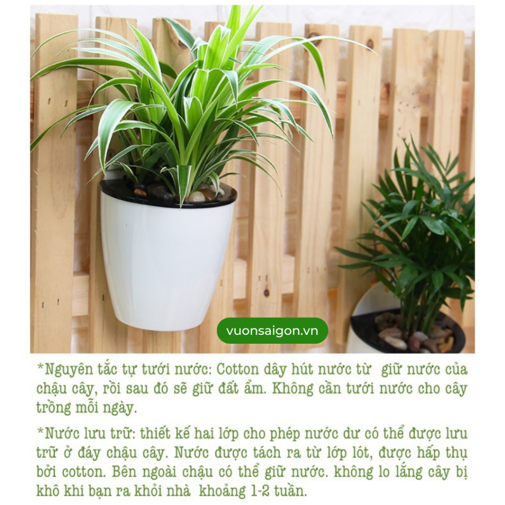 Chậu tự dưỡng áp tường, chậu tự tưới trồng cây 2 lớp 2