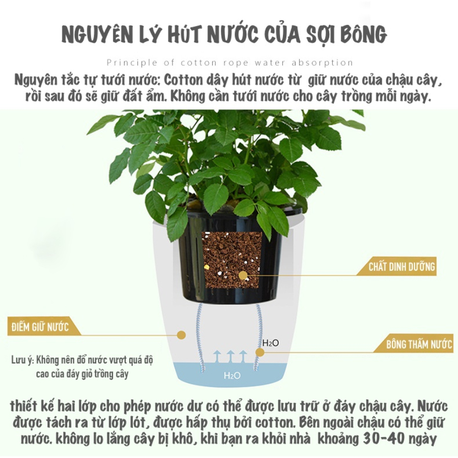 Chậu tự dưỡng vuông, chậu tự tưới 2 lớp_ ( G113 B&W) 1