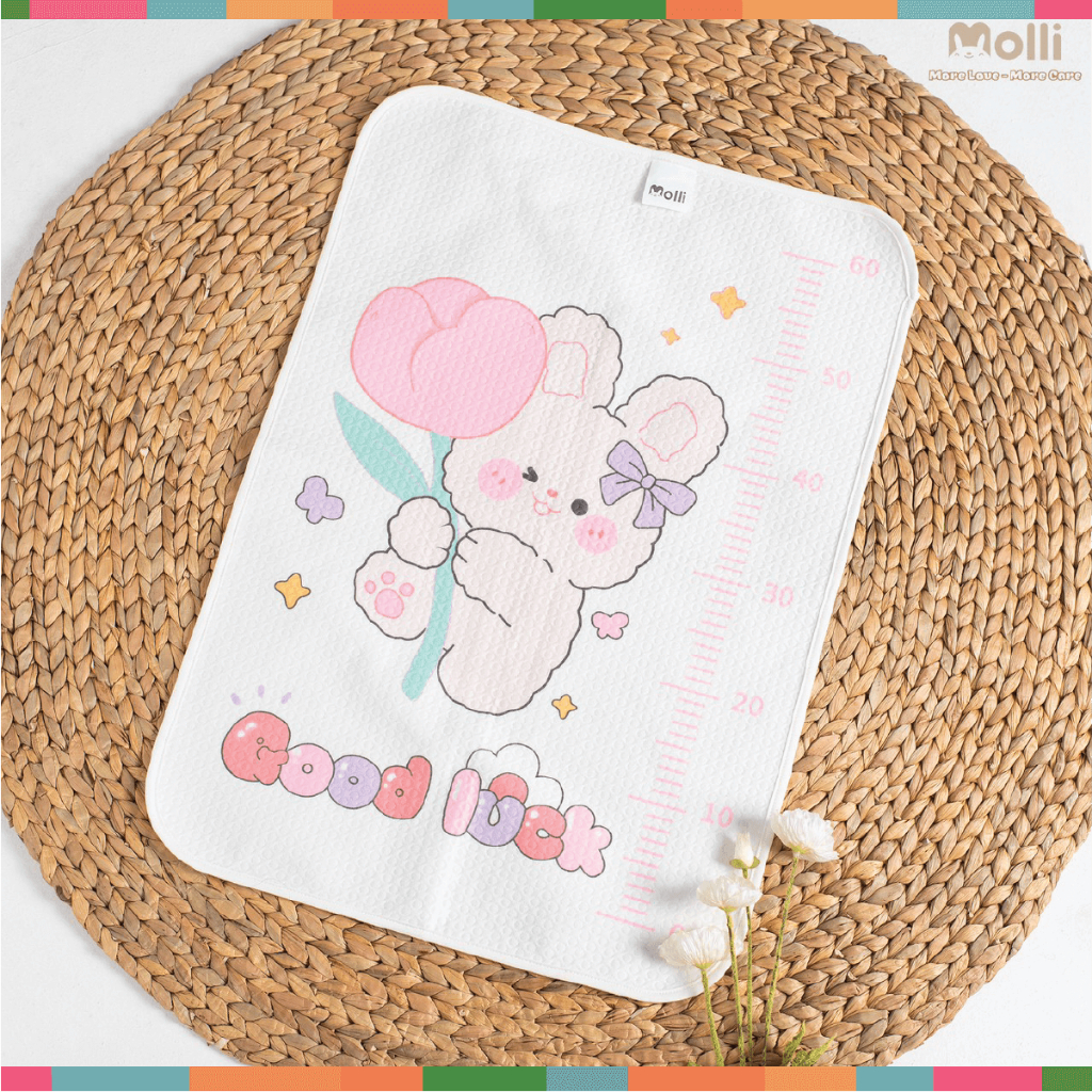 Tấm Lót Chống Thấm 4D Molli Cho Bé Sơ Sinh thoáng khí, êm ái 50cmx70cm - Tấm Lót Chống Thấm Phong Cách Hàn Cho Bé