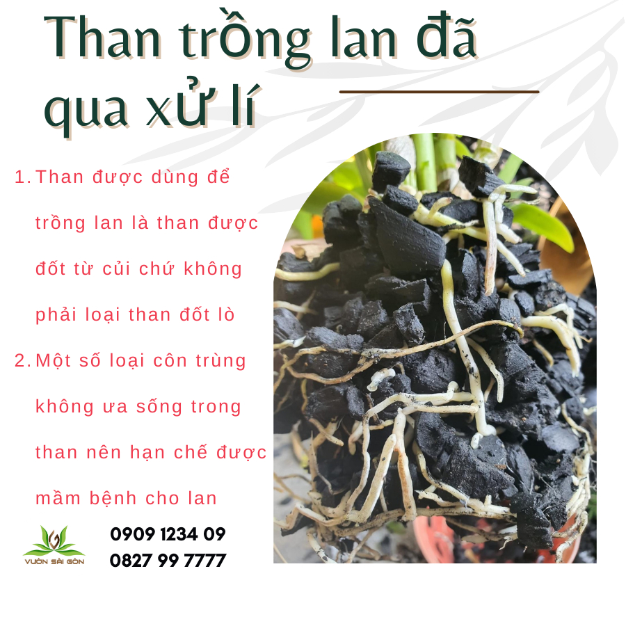 Than trồng lan đã qua xử lí gói 500g 3