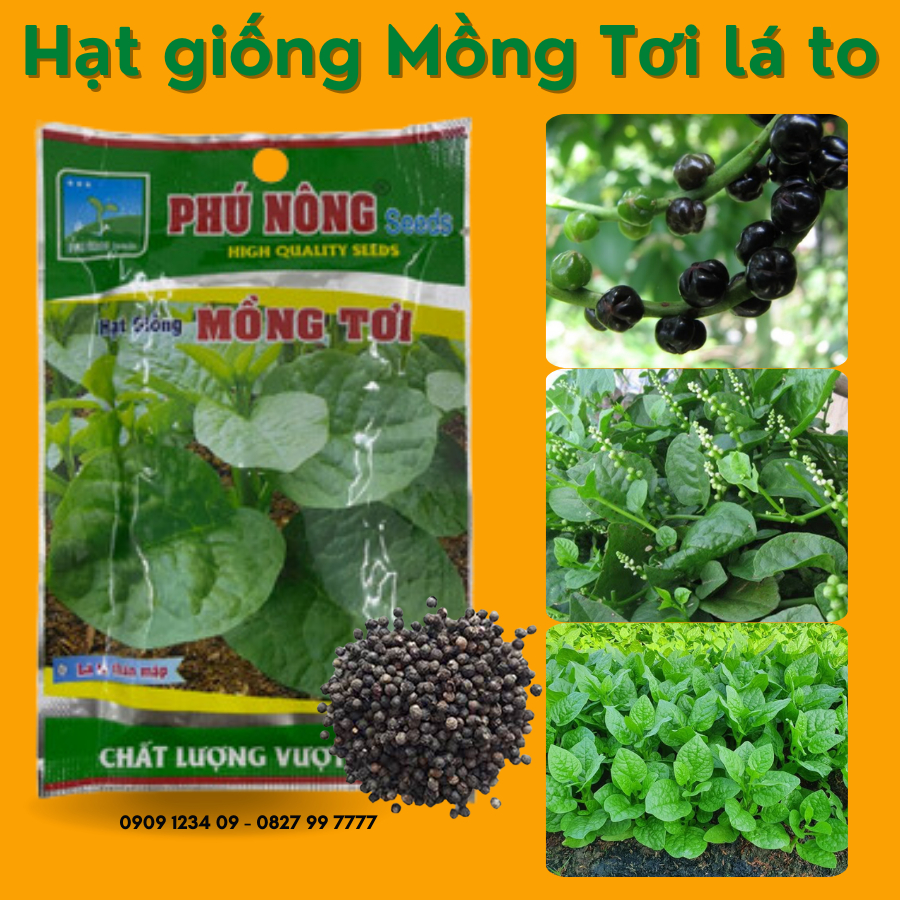 Hạt giống Mồng Tơi lá to Phú Nông 1