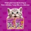 WHISKAS TASTY MIX Thức Ăn Cho Mèo Con Dạng Sốt Vị Gà, Cá Ngừ, Khoai Lang & Nước Sốt, 70g
