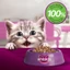 WHISKAS TASTY MIX Thức Ăn Cho Mèo Con Dạng Sốt Vị Gà, Cá Ngừ, Khoai Lang & Nước Sốt, 70g