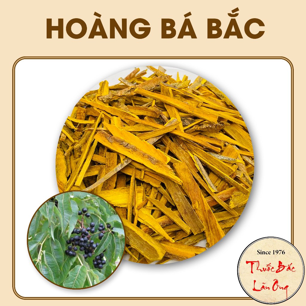 Hoàng bá bắc khô 100g, thái lát vàng, sạch, đẹp - Lãn Ông