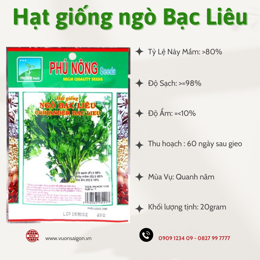 Hạt giống ngò rí Bạc Liêu Phú Nông 2