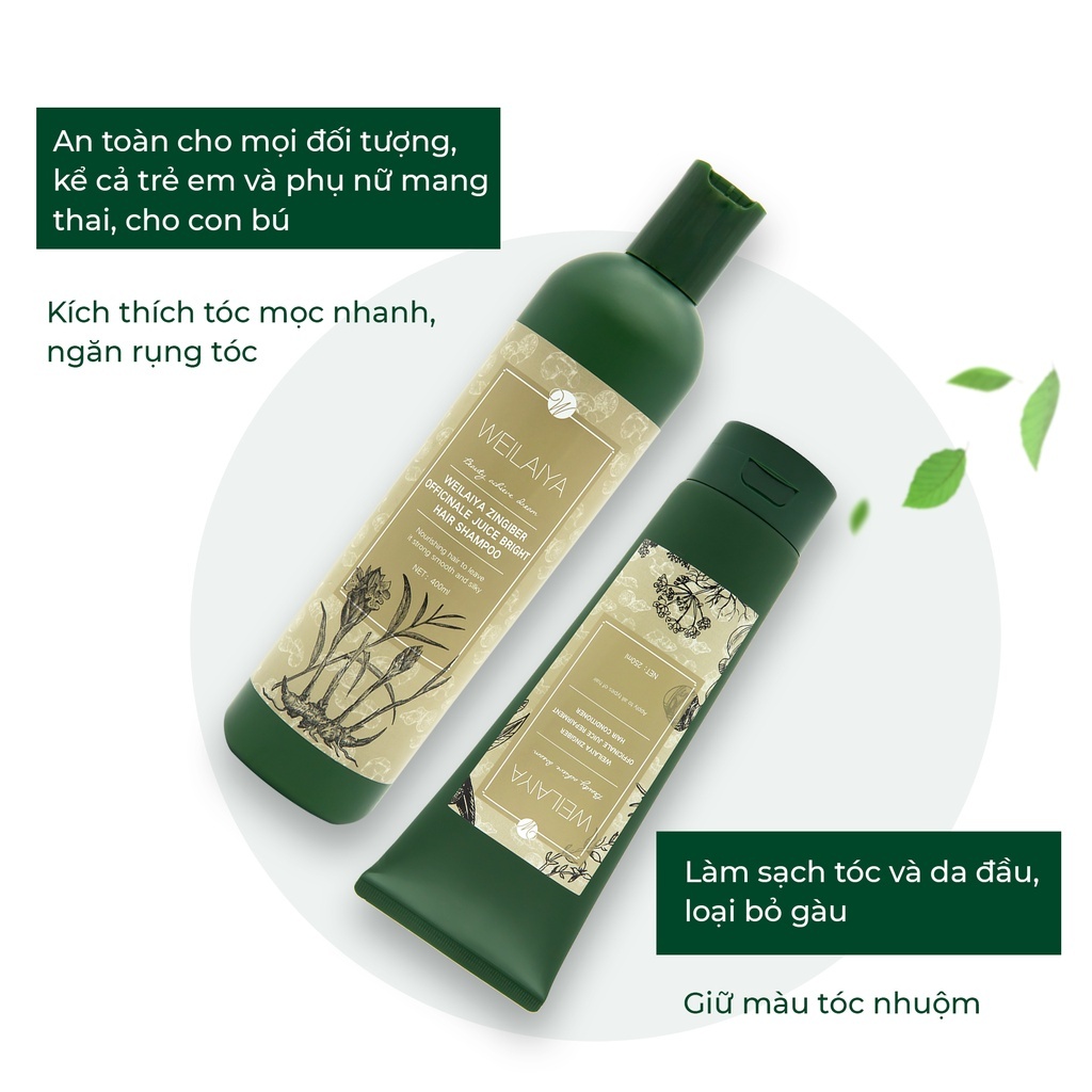 Cặp dầu gội xả tóc thảo dược Weilaiya gừng hà thủ ô giúp dưỡng đen và kích thích mọc tóc NEW