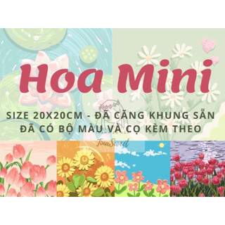 Tranh tô màu theo số Hoa Mini Mới Size 20x20cm căng khung sẵn