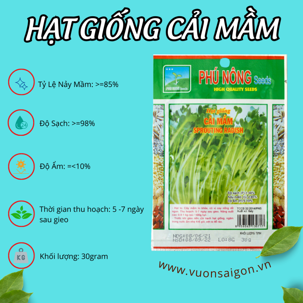 Hạt giống cải mầm Phú Nông 2